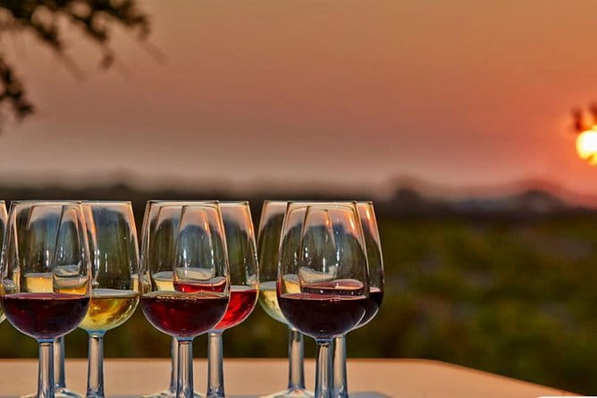 4.5 Hours Through the Grapevine Semi Private Wine Tour - The Sum Up