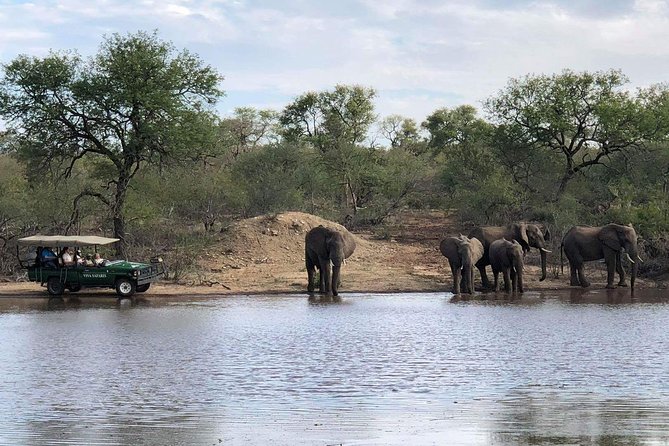4 Day Budget Kruger National Park Safari - Traveler Requirements