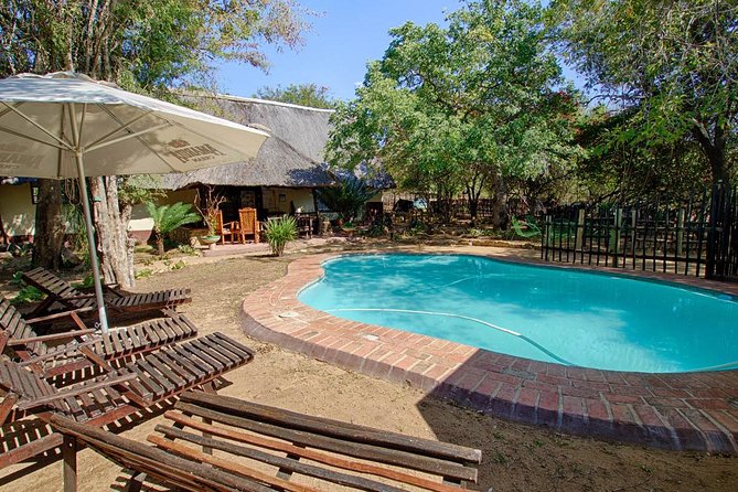 4 Day Budget Kruger National Park Safari - Wildlife Experiences