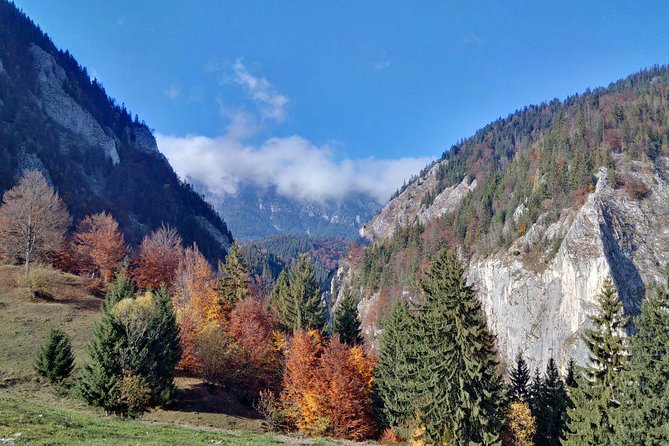 4-Day Carpathian Trek: Bucegi Mountains and Piatra Craiului National Park - Stunning Romanian Countryside