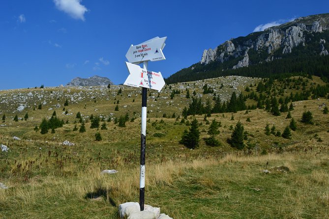 4-Day Carpathian Trek: Bucegi Mountains and Piatra Craiului National Park - Positive Guest Reviews