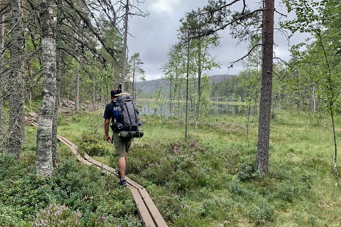 4-Day Hiking Adventure in Skuleskogen National Park (Höga Kusten) - Who Would Love This Tour?