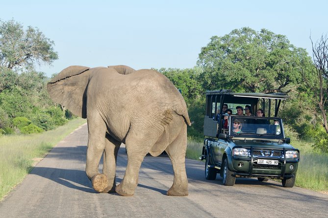 4-Day Kruger National Park Safari Including Breakfast and Dinner - Traveler Information and Reviews