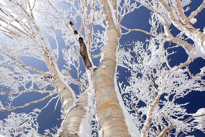 4-Day Luxury Tohoku Snow Retreat: Appreciate the Stillness - Discover the Captivating Nebuta Museum
