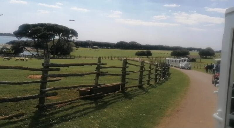 4 Day Private Istria Tour from Zagreb: Explore & Enjoy - Final Thoughts