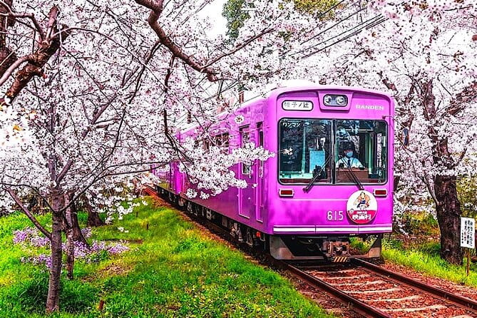 4-Day Private Kyoto Osaka Nara Sightseeing Tour With Guide - Inclusions and Transportation