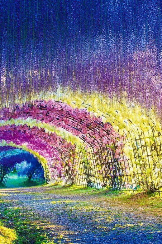 4 Day Private Tour Tokyo, Mt.Fuji, Nikko, Kamakura, Hakone - Inclusions and Exclusions