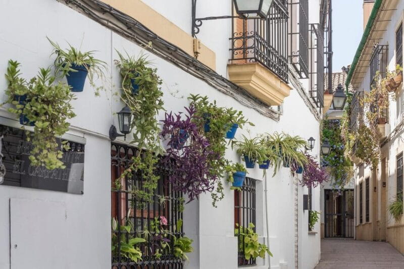 4-Day Tour Andalusia: Cordoba & Seville from Madrid - Price and Value