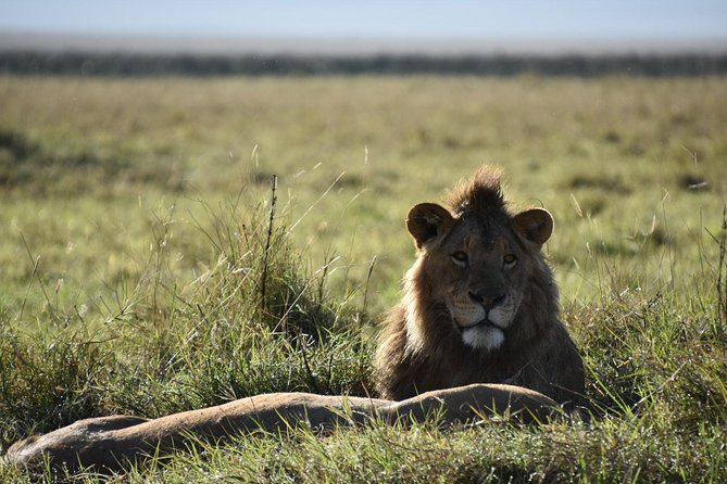 4 Days Group Safari - Accommodation Options