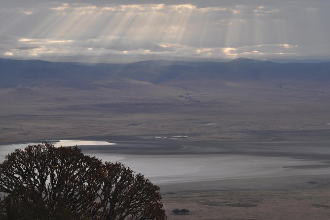 4 Days Group Safari - Meals and Dining