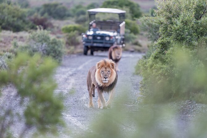 4 Days Private Lodge Safari - Included in the Tour