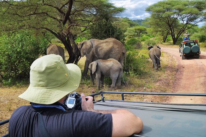4 Days Private Lodge Safari - Accommodation
