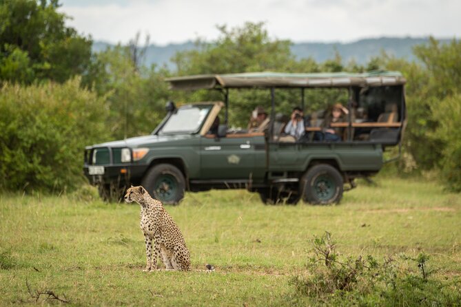 4 Days Private Lodge Safari - Pickup and Confirmation