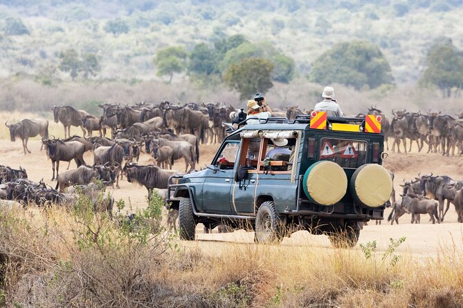 4 Days Private Lodge Safari - Accessibility