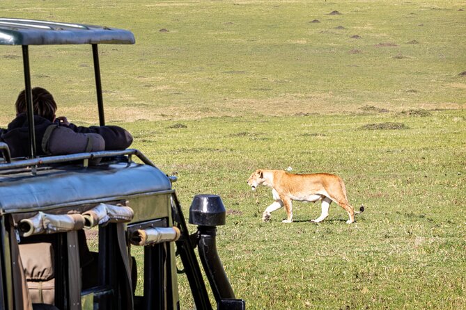 4 Days Private Lodge Safari - Tour Type