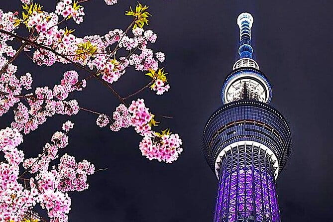 4-Days Private MT Fuji Tokyo Kamakura Nikko Hakone Yokohama Tour - Included Meals and Entrance Fees