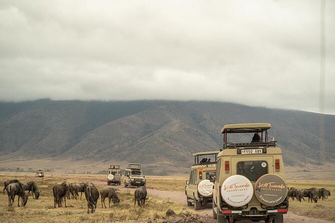 4 Days Tanzania Budget Safari - Pickup and Meeting Point