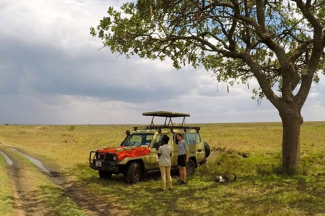 4 Days Tanzania Budget Safari - Accessibility Information