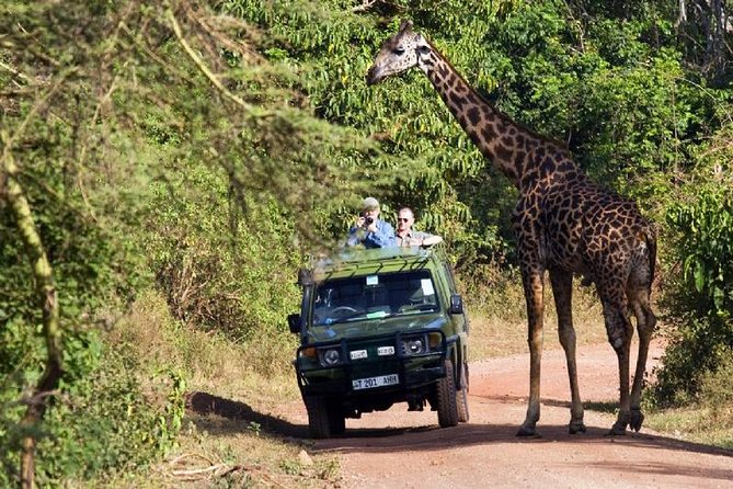 4 Days Tarangire Serengeti Ngorongoro Crater - Meeting and Pickup