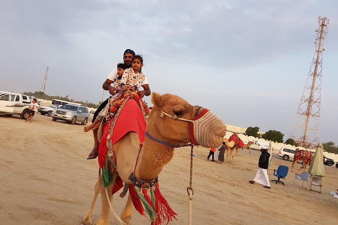 4 Hour Desert Safari, Camel Ride & Inland Sea Beach - Traveler Considerations