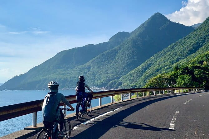 4 Hour Guided Cycling Experience in Yakushima - Exploring the Unique Landscapes of Yakushima