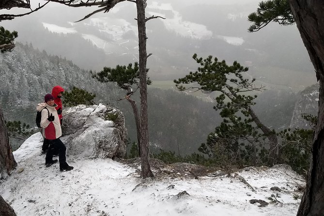 4-Hour Private Alpine Great George at High Wall Mountain From Vienna - Transportation and Logistics