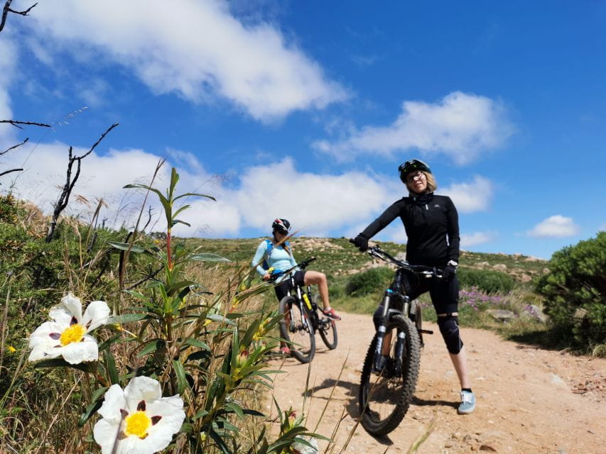 4 Hour Private MTB Enduro Trail Tour in Sintra Mountain - Shuttle and Climbs