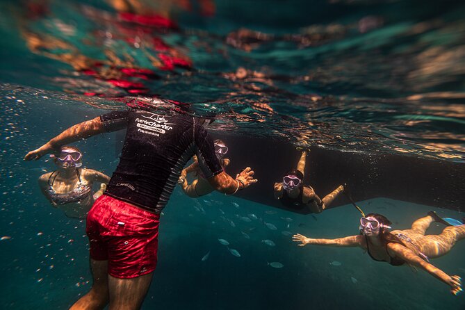 4-Hour Sailing Tour of Lobos Island From Fuerteventura - Additional Information
