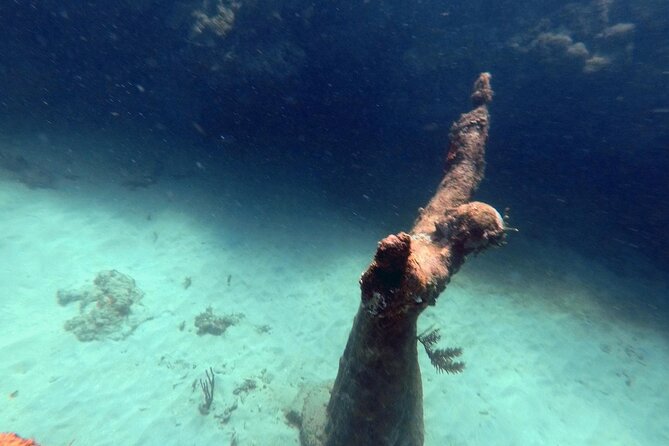 4-Hour Snorkel Cruise to Underwater Sculptures With Boat Dogs - Beach Relaxation