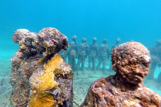 4-Hour Snorkel Cruise to Underwater Sculptures With Boat Dogs - Booking and Meeting Details