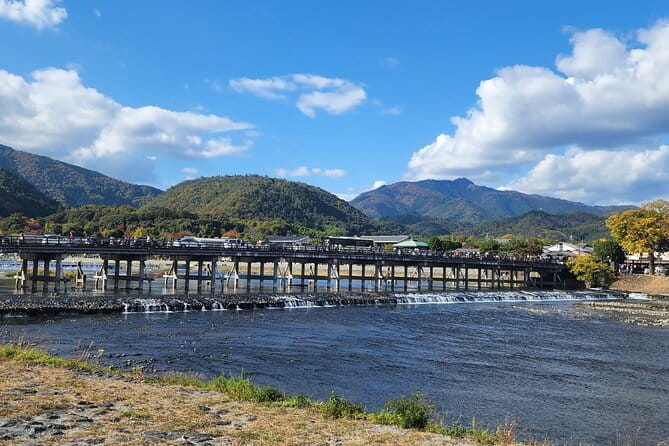 4 Hours Arashiyama and Arashiyama Monkey Park Tour - What to Expect