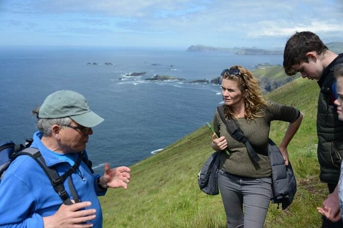 4 Hours Dingle Peninsula Private Tour - Review Highlights