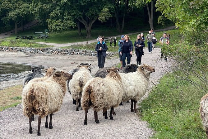 4 Hours Island Hopping Tour in Oslo - FAQ