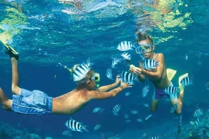 4 Hours Private Speed Boat Snorkeling With Dolphins Trip, Water Sport - Hurghada - Snorkeling Stops