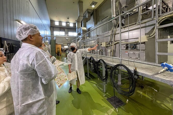 4-Hours Quick Layover Tour to Sake Brewery Gastronomy From NRT - Accessibility and Participation
