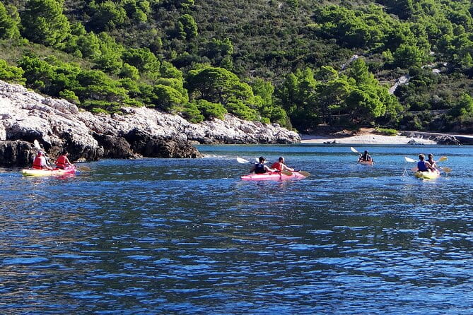 4 Hours Sea Kayaking from Komia - Who Should Book This Experience?