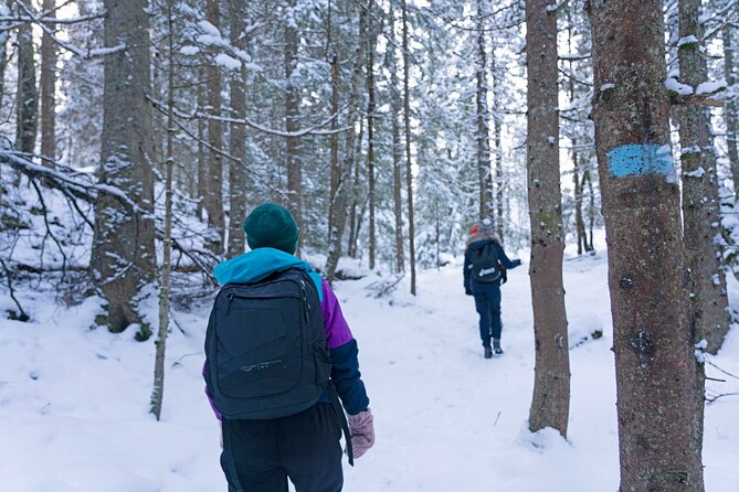 4 Hours Winter View of the Oslofjord Walk Tour - Booking Confirmation