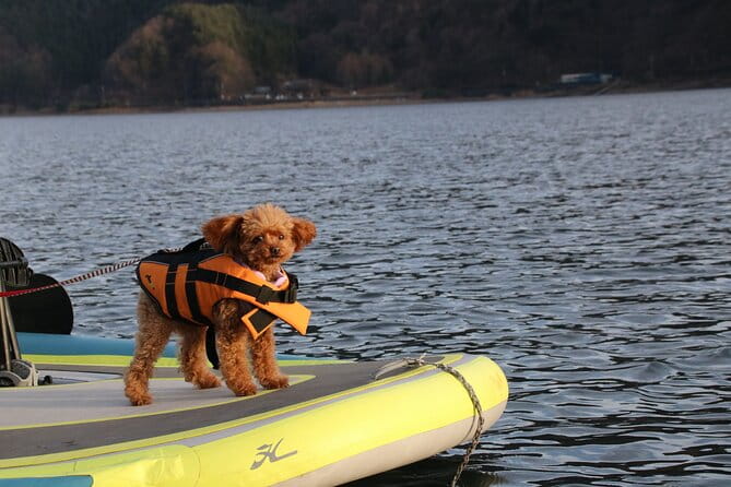 4 Seat Boat Experience on the Lake With a View of Mt. Fuji - Scenic Views of Mt. Fuji