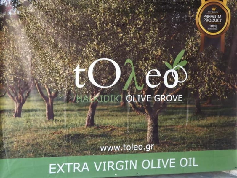 45 min. Olive Oil Workshop in Kriopigi - Halkidiki. - What’s Included and How the Workshop Runs