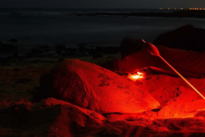 4h Turtle Watching With SSV Buggy Night 4WD - Tour Ratings and Reviews