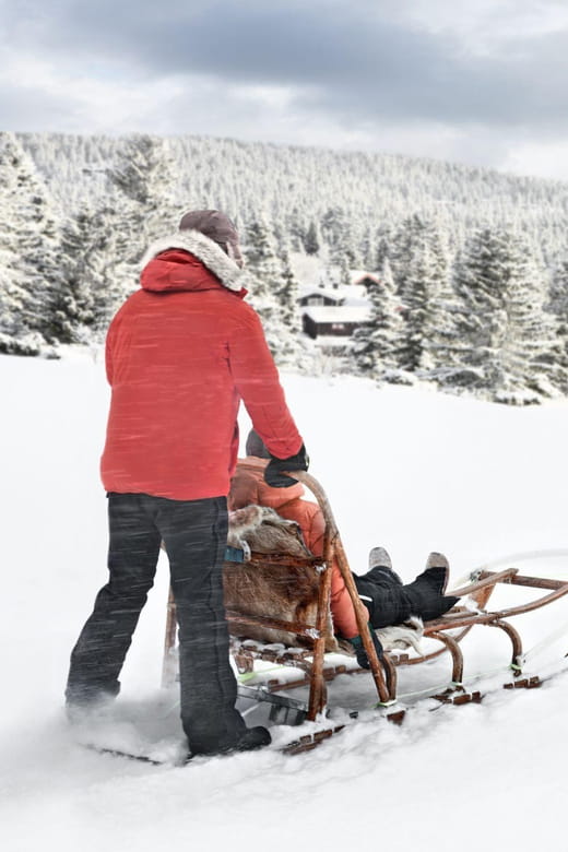 4hr Dog Sledding Trip on Finnmarksvidda - An In-Depth Look at the 4-Hour Dog Sledding Journey