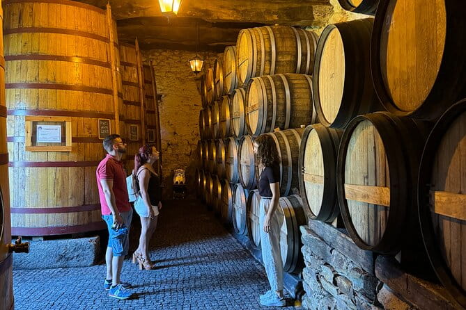 4x4 Adventure in Douro: Wine Tasting, Boat Trip and Lunch - Discovering the Douro with a 4x4: What You Can Expect