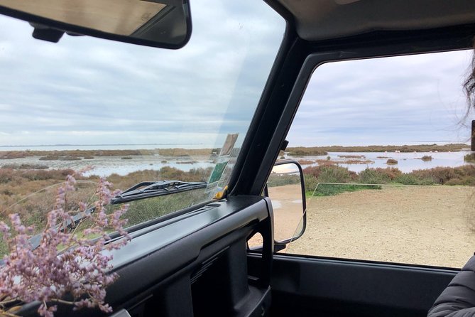 4x4 Camargue Safari 4h - Departure From Arles - Tour Duration