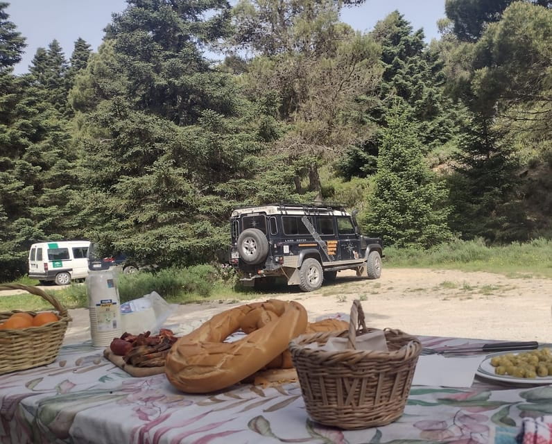 4x4 in the heart of the Sierra de las Nieves National Park - Practical Details and Tips