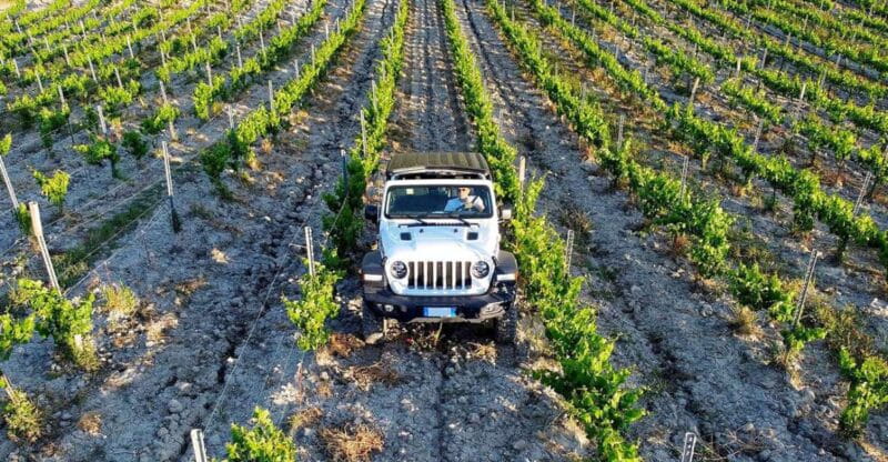 4x4 Jeep Vineyard Safari Tour with Lunch and Wine Tasting - The Sum Up