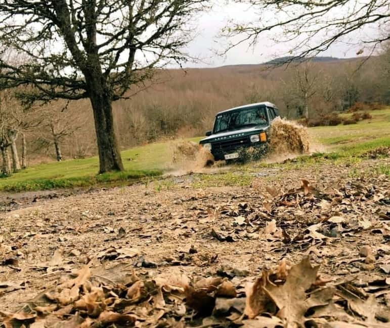 4x4 Night Tour in The Nebrodi Park from Cesarò - Practicalities and What to Expect