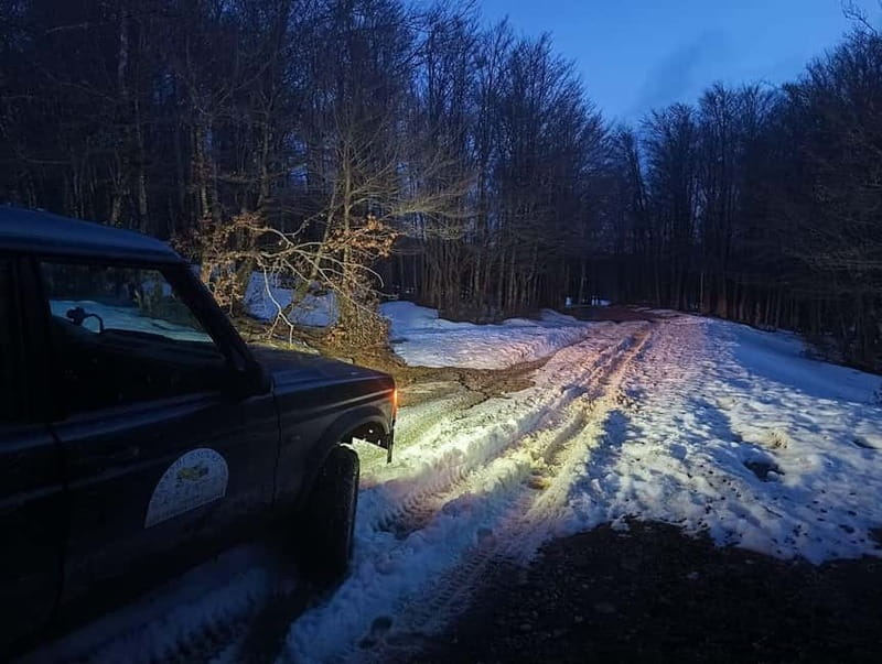 4x4 Night Tour in The Nebrodi Park from Cesarò - Final Thoughts