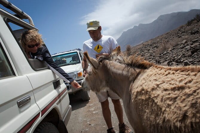4X4 Safari: Jandía Natural Park and Cofete - Exploring Fuerteventura’s Unique Landscapes in a 4x4