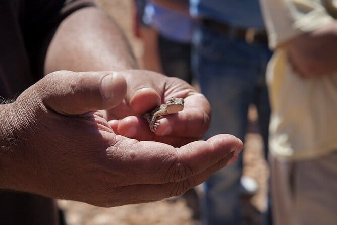 4X4 Safari: Jandía Natural Park and Cofete - Who Will Love This Tour?