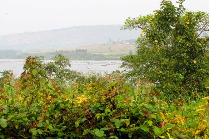 5 Day Gorillas, Wildlife and Kalinzu Forest Chimp Trek - Tour Logistics and Policies